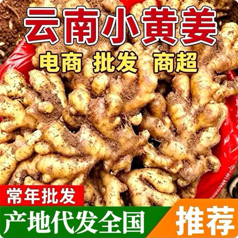 【云南红土小黄姜】常年有货/规格齐全/坏烂包赔/全国发货