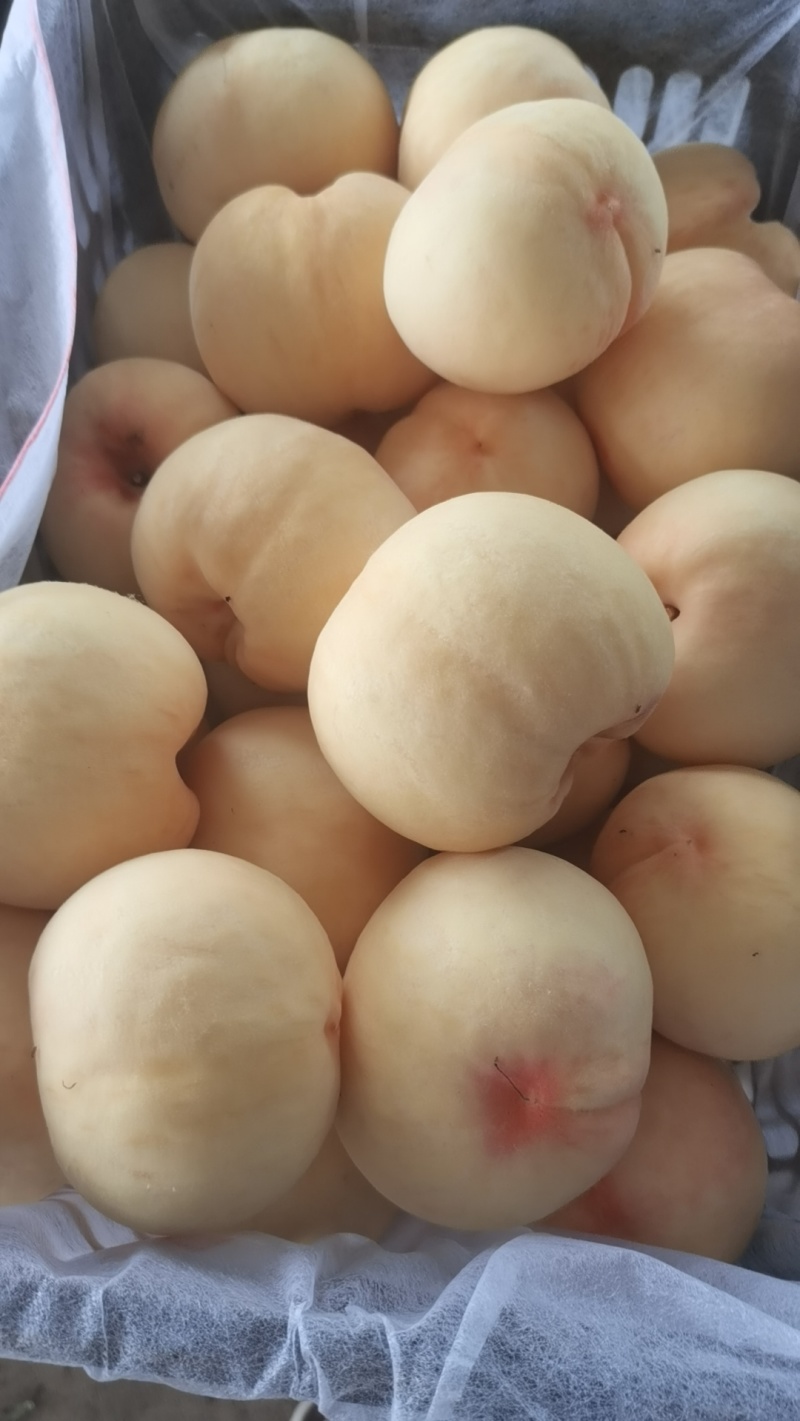 白桃水蜜桃