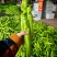 河南内黄精品羊角尖椒