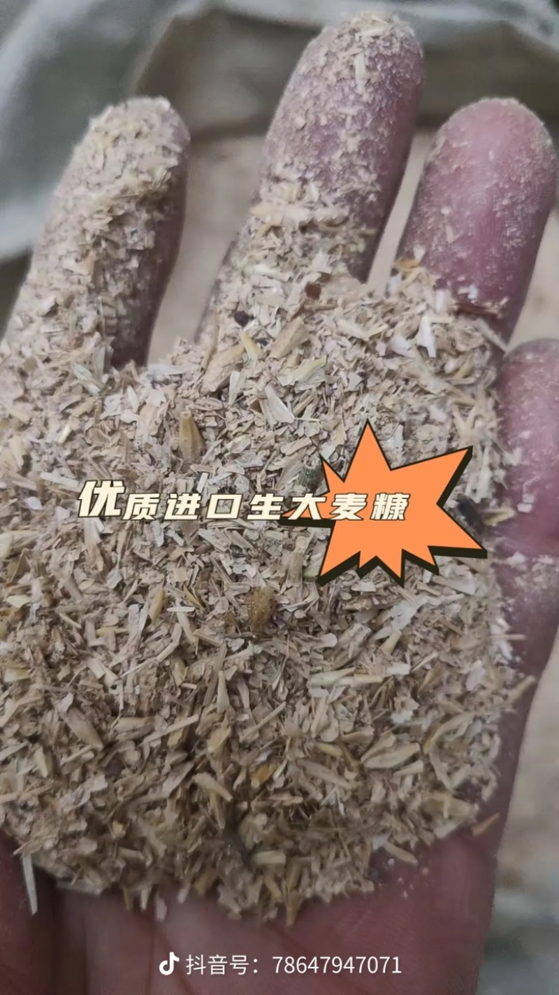大麦生糠饲料原料蛋白7左右