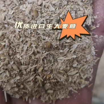 大麦生糠饲料原料蛋白7左右