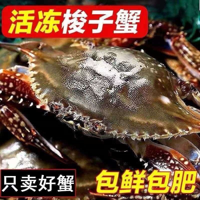 新鲜梭子蟹新鲜打捞一手货源批发零售