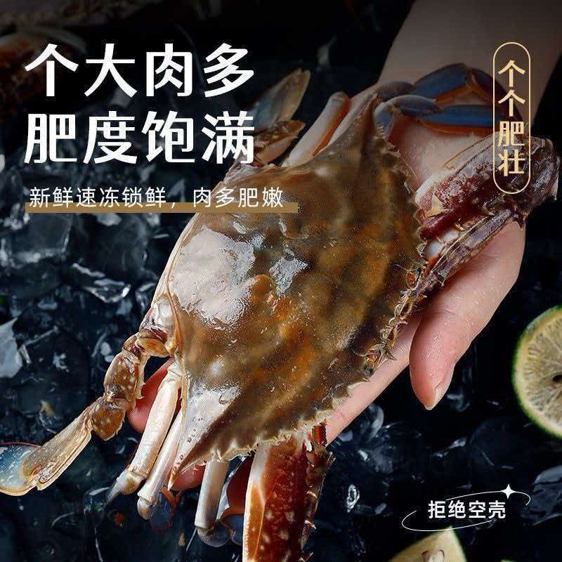 新鲜梭子蟹新鲜打捞一手货源批发零售