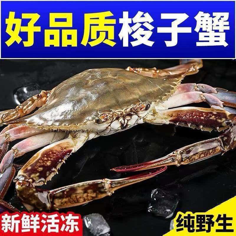 新鲜梭子蟹新鲜打捞一手货源批发零售