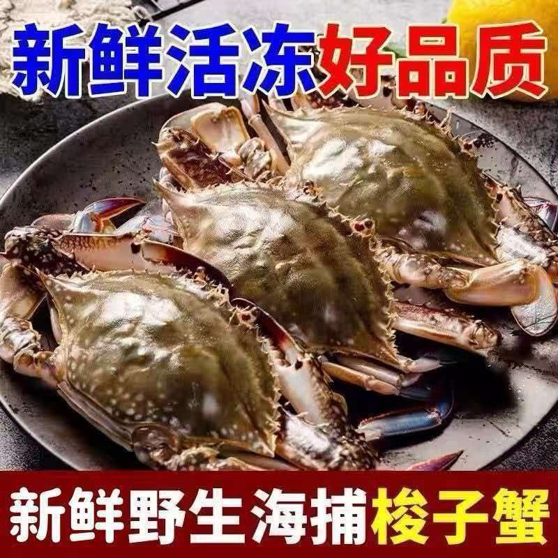新鲜梭子蟹新鲜打捞一手货源批发零售