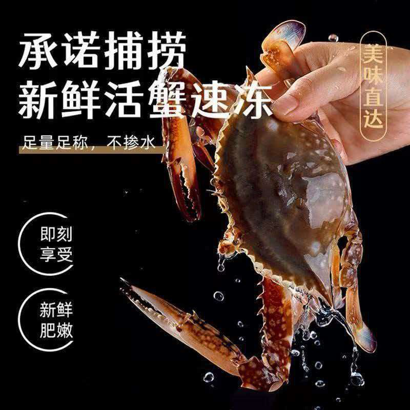 新鲜梭子蟹新鲜打捞一手货源批发零售
