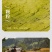 玉珍香稻谷