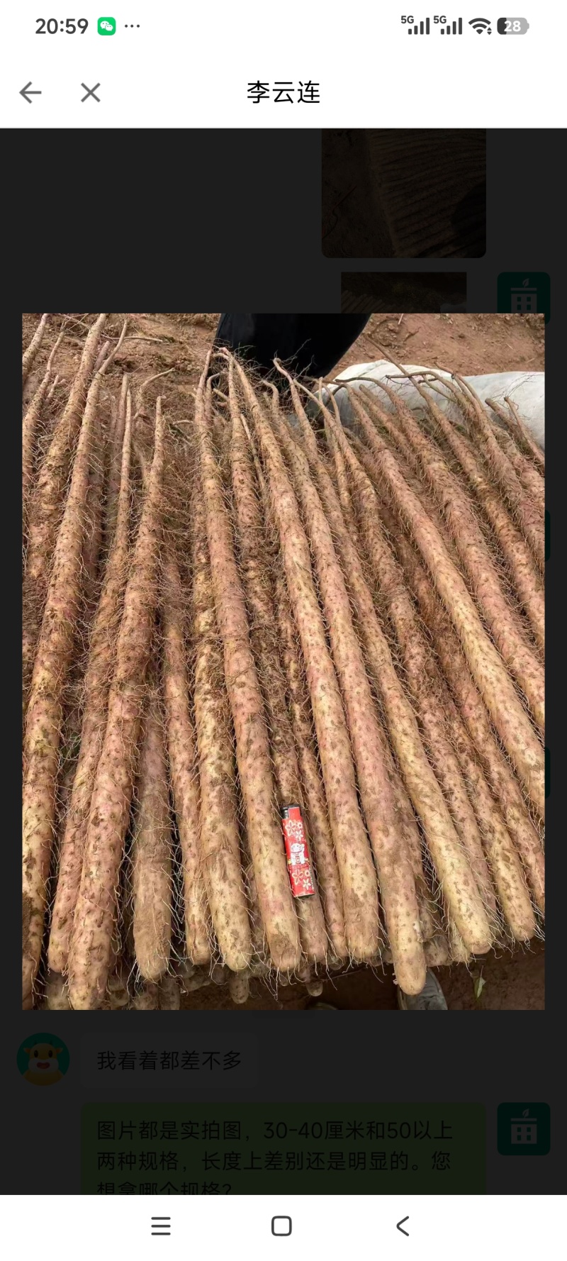 铁棍山药