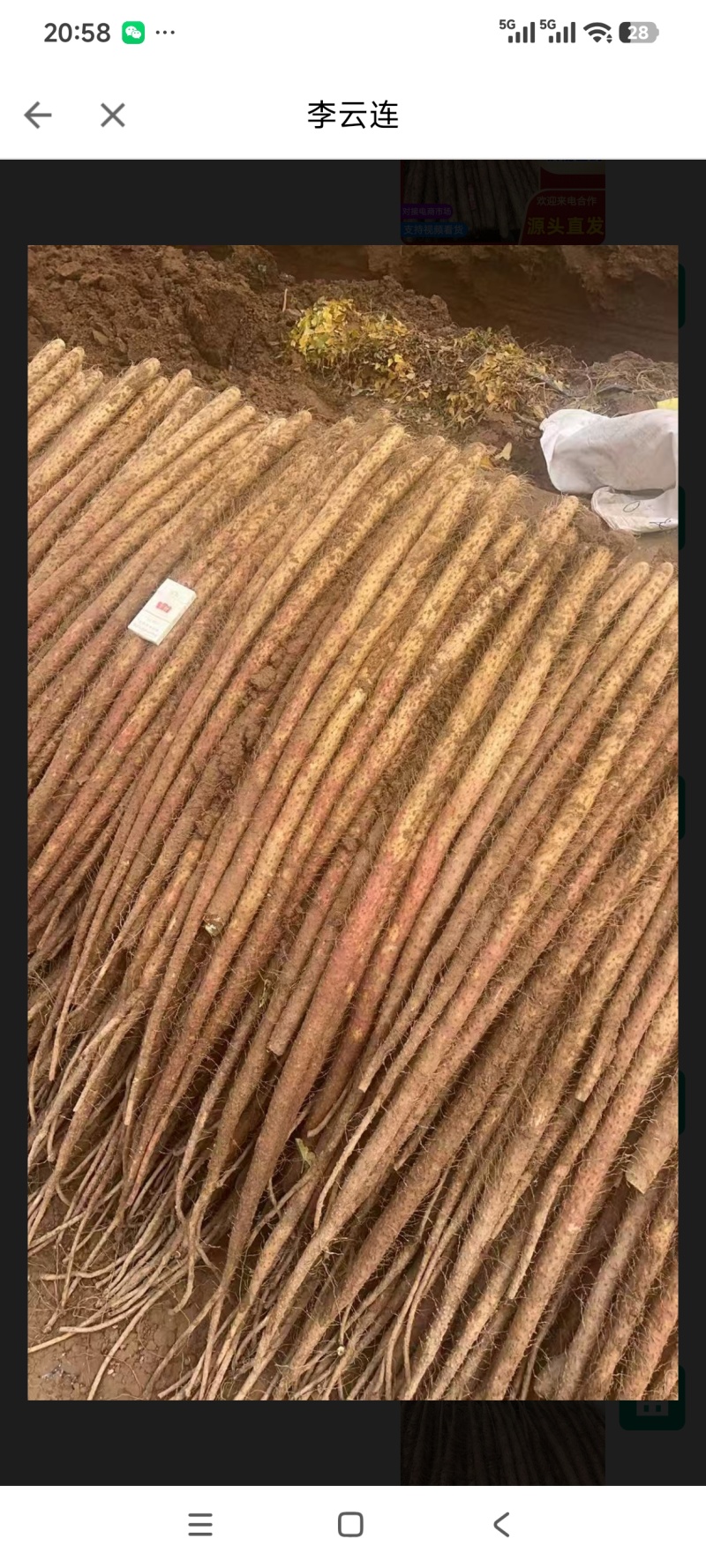 铁棍山药