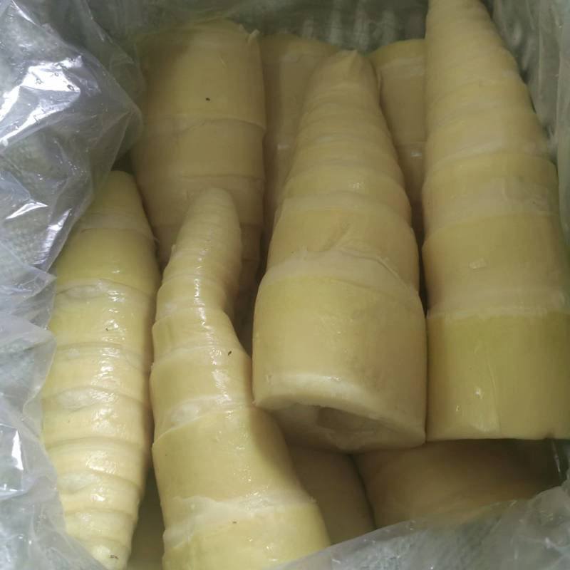 福建麻竹笋尾，笋尖