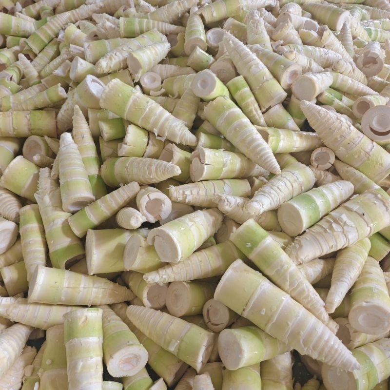 福建麻竹笋尾，笋尖