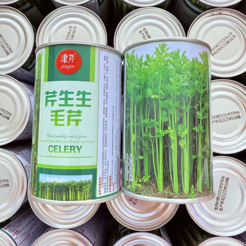芹生生毛芹种子发芽率第14天可以达到85%以上出芽