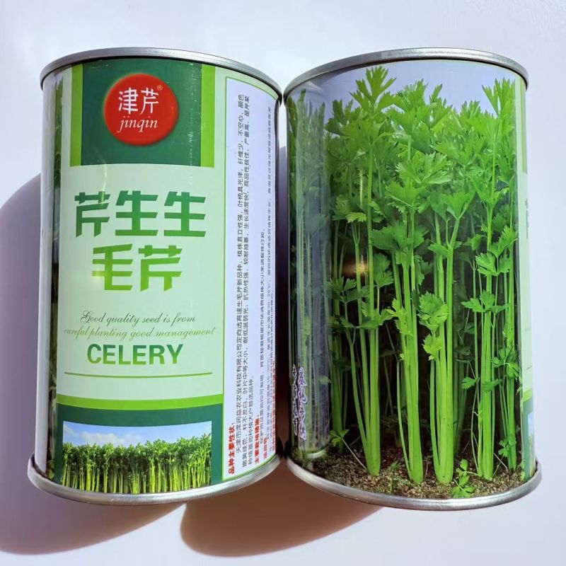 芹生生毛芹种子发芽率第14天可以达到85%以上出芽