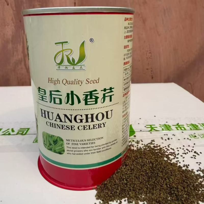皇后小香芹种子春秋两季播脆嫩实心小芹菜籽农田阳台盆栽蔬菜