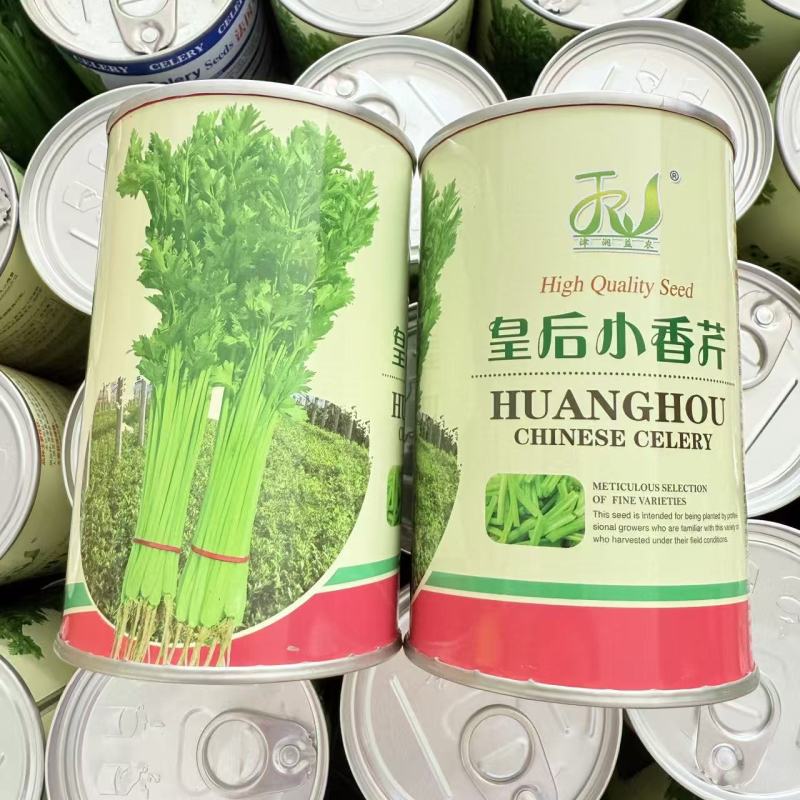 皇后小香芹种子春秋两季播脆嫩实心小芹菜籽农田阳台盆栽蔬菜