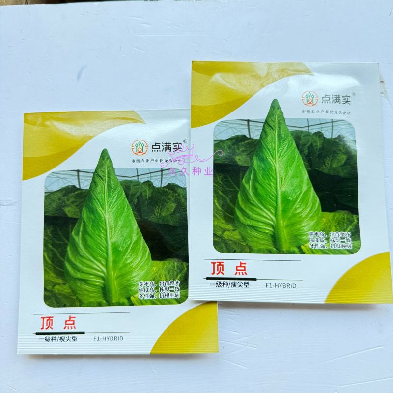 顶点瘦尖型牛心甘蓝种子早中熟叶翠绿油亮冬性强抗根肿耐抽薹