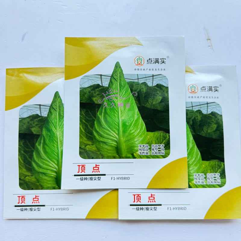 顶点瘦尖型牛心甘蓝种子早中熟叶翠绿油亮冬性强抗根肿耐抽薹