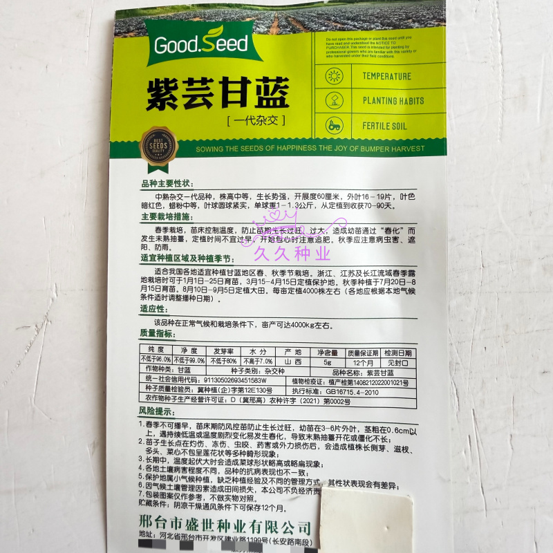 紫芸甘蓝种子紫甘蓝紫色包心菜籽菜用甘蓝种子一代杂交紫包菜