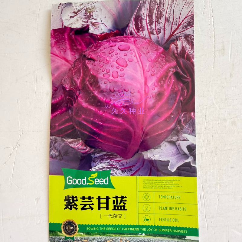 紫芸甘蓝种子紫甘蓝紫色包心菜籽菜用甘蓝种子一代杂交紫包菜