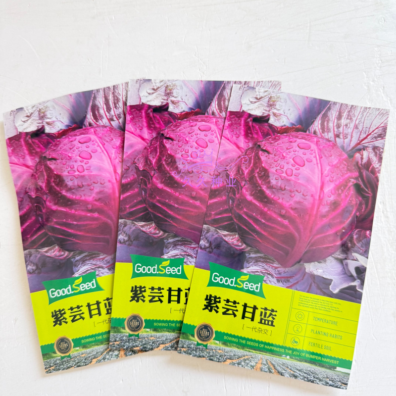 紫芸甘蓝种子紫甘蓝紫色包心菜籽菜用甘蓝种子一代杂交紫包菜