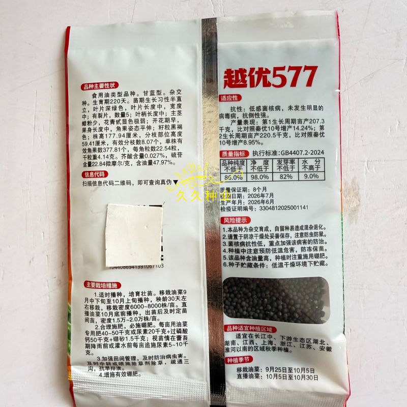 越优577矮秆高产油菜种子杂交油菜耐寒抗倒伏出油率高
