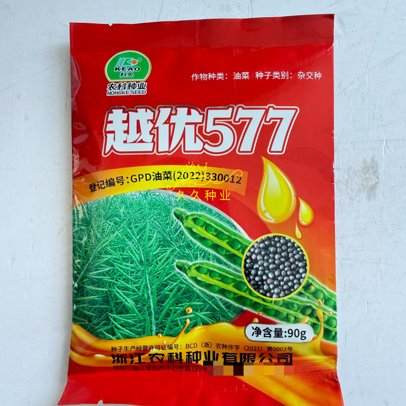 越优577矮秆高产油菜种子杂交油菜耐寒抗倒伏出油率高