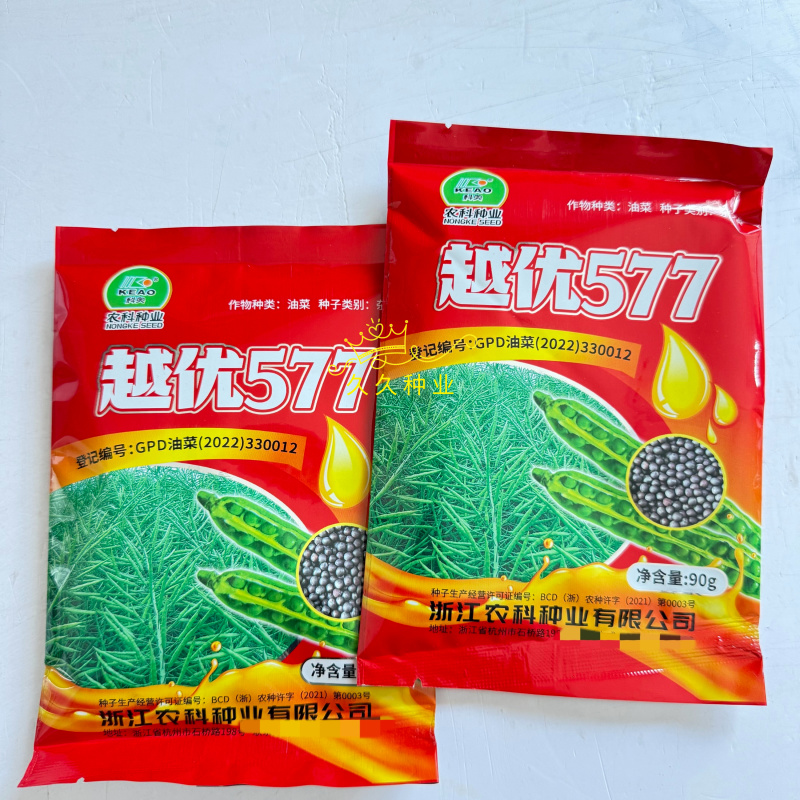越优577矮秆高产油菜种子杂交油菜耐寒抗倒伏出油率高