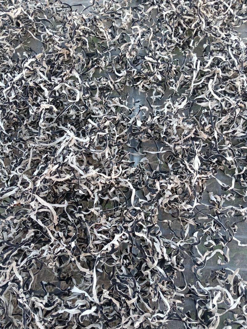 精选特级白背头茬黑木耳干货米线商用凉拌菜螺蛳专用整箱批发