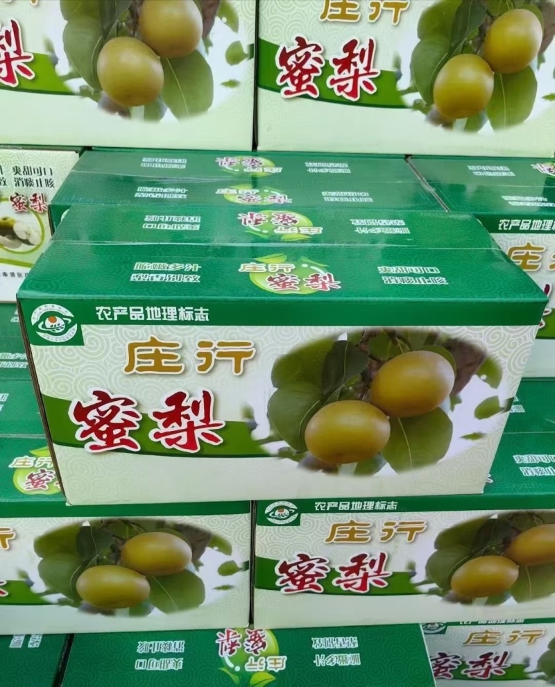 上海奉贤庄行蜜梨
