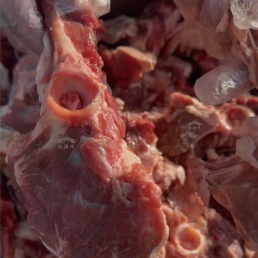 满肉羊胯骨苏脊骨