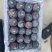 大量出售50mm-60mm精品黑宝石