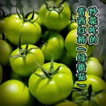 青西红柿，产地大量有货，量大从优，保质保量。