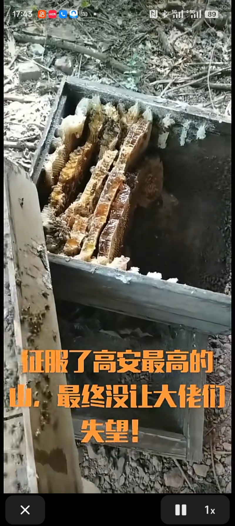 百花蜜