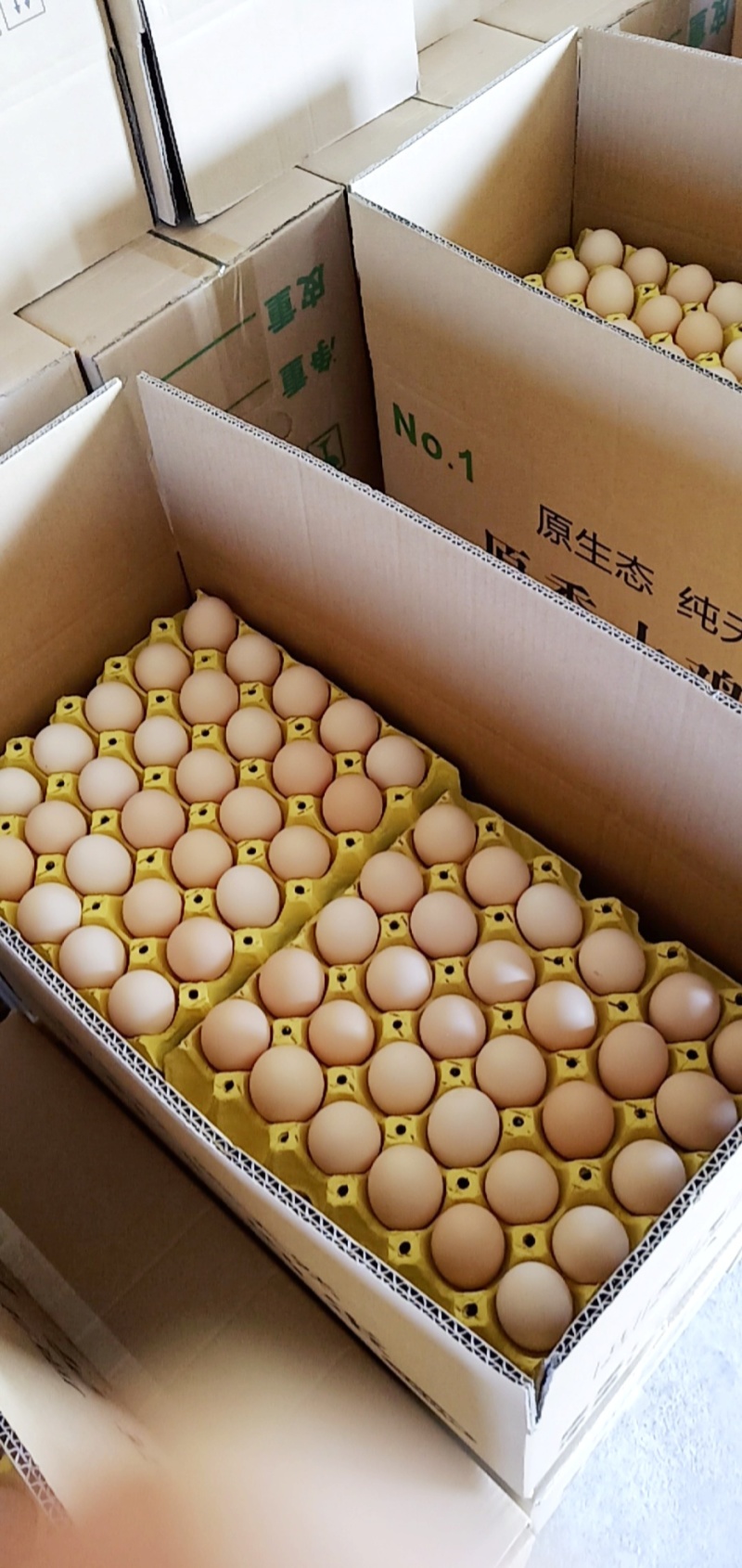 净重32斤，小码粉壳蛋