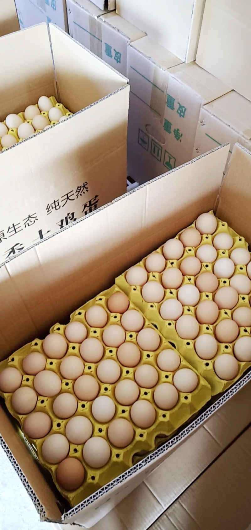 净重32斤，小码粉壳蛋