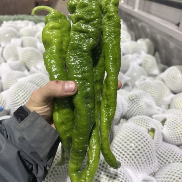 螺丝椒