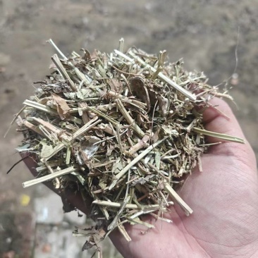 花生秧草