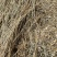 藏茵陈西藏高海拔干货特产野生藏茵陈茵陈茶精选正品大货