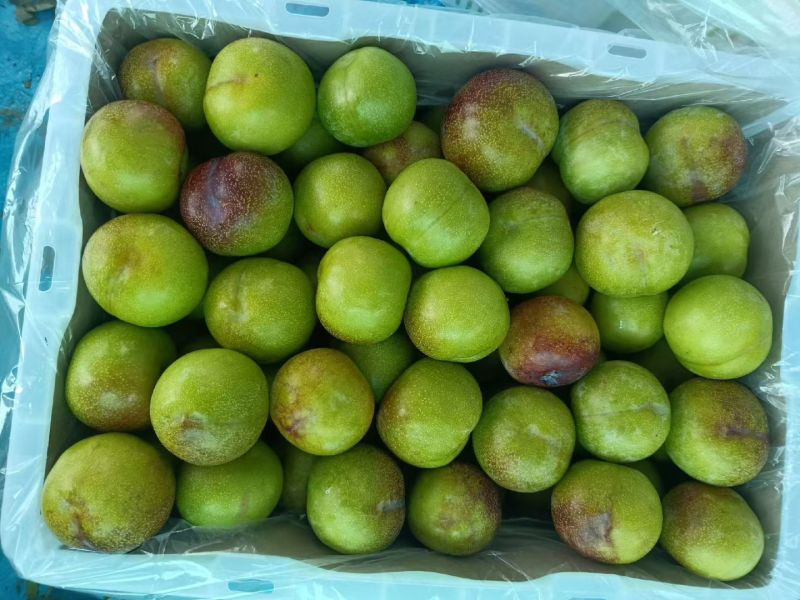 苹果3.5两以上，看颜色果皮品质大小比例定价