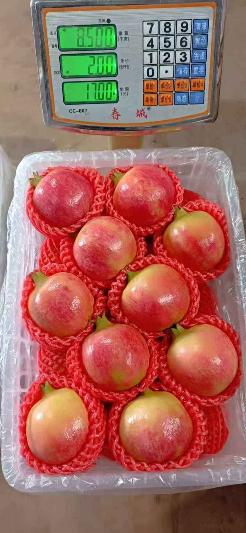 四川突尼斯软籽石榴价格美丽质量好对接全国量大从优热卖