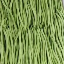 精品绿架豆王，大量上市，现摘现采，保质保量，诚信经营