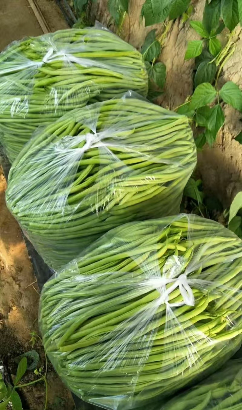 精品绿架豆王，大量上市，现摘现采，保质保量，诚信经营