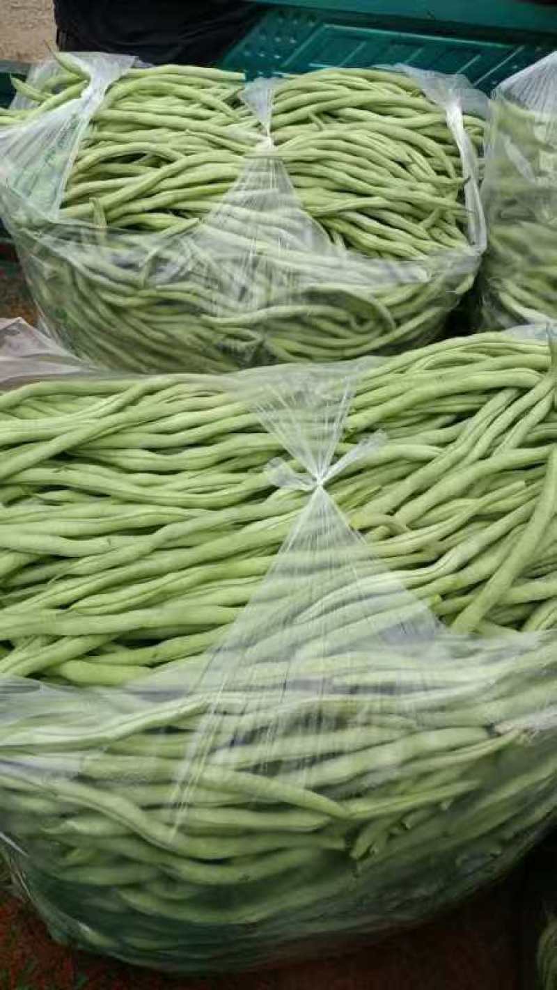 精品绿架豆王，大量上市，现摘现采，保质保量，诚信经营