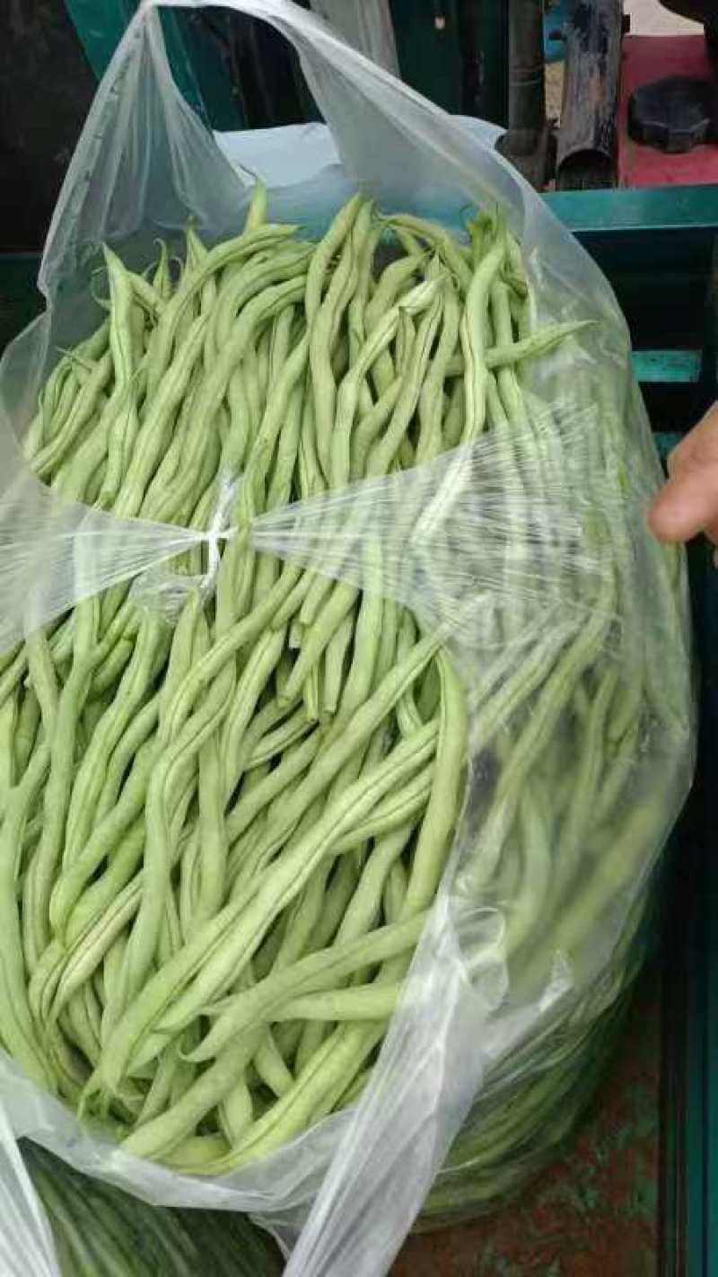 精品绿架豆王，大量上市，现摘现采，保质保量，诚信经营