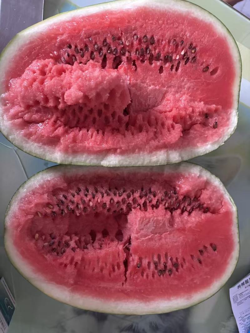 新红宝西瓜