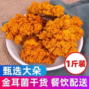 金耳干货云南源头工厂黄耳菌做甜品煲汤佳品大朵无硫一件代发