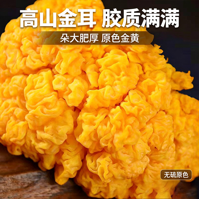 金耳干货云南源头工厂黄耳菌做甜品煲汤佳品大朵无硫一件代发