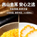 金耳干货云南源头工厂黄耳菌做甜品煲汤佳品大朵无硫一件代发