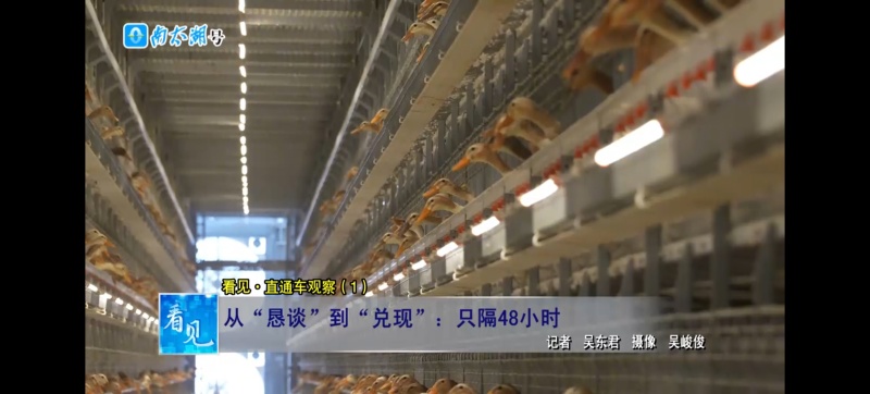 批发新鲜鸭蛋，量大价优，自家养殖公司，可整车发货