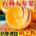 人参果熟果，小果30-50g3元/公斤、中果50-80